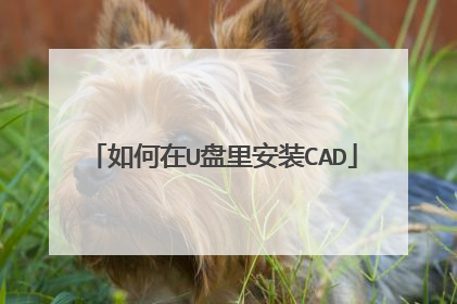 如何在U盘里安装CAD