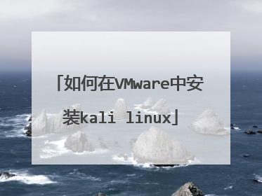 如何在VMware中安装kali linux