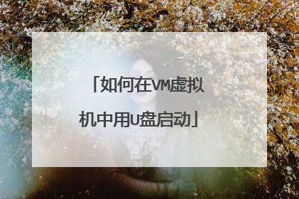 如何在VM虚拟机中用U盘启动