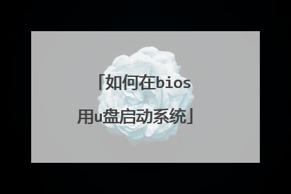 如何在bios用u盘启动系统
