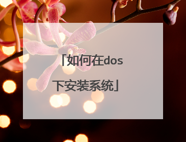 如何在dos下安装系统