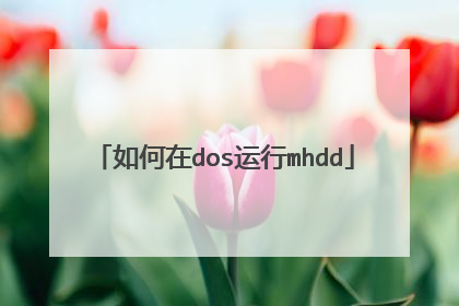 如何在dos运行mhdd