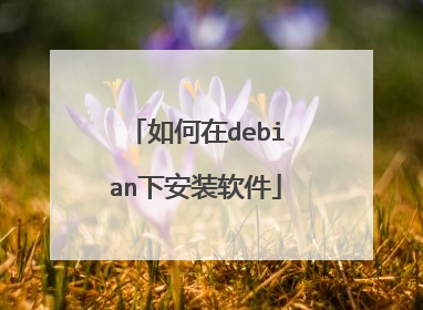 如何在debian下安装软件