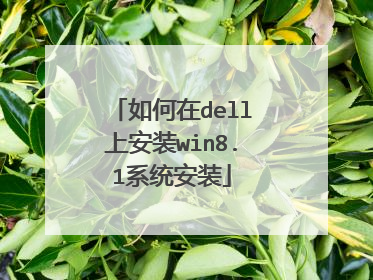如何在dell上安装win8.1系统安装