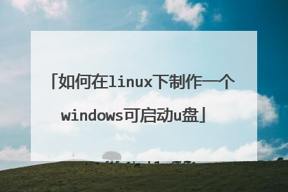 如何在linux下制作一个windows可启动u盘