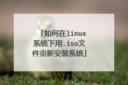 如何在linux系统下用.iso文件重新安装系统