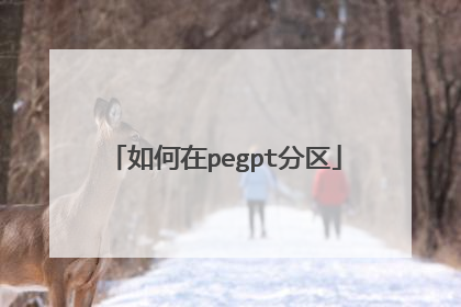 如何在pegpt分区