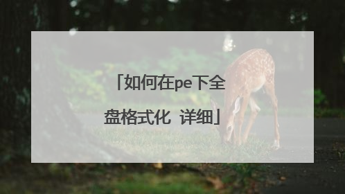 如何在pe下全盘格式化 详细