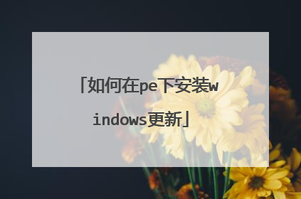 如何在pe下安装windows更新