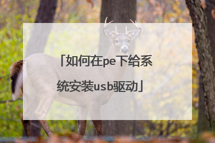 如何在pe下给系统安装usb驱动