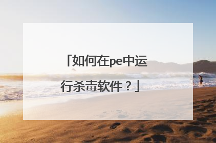 如何在pe中运行杀毒软件？