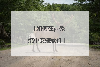 如何在pe系统中安装软件