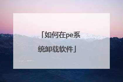 如何在pe系统卸载软件