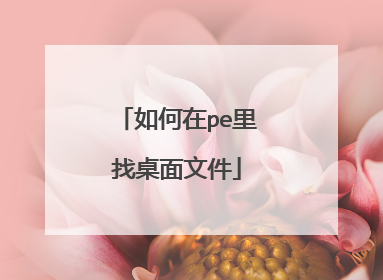 如何在pe里找桌面文件