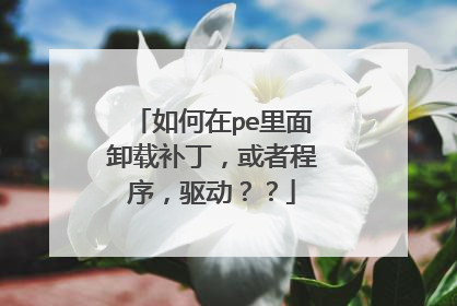 如何在pe里面卸载补丁,或者程序,驱动??