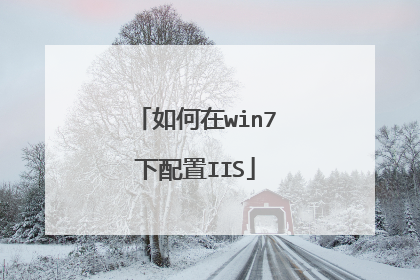 如何在win7下配置IIS