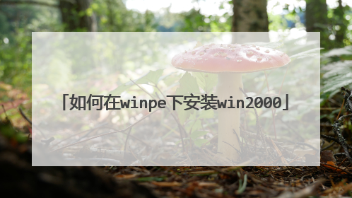 如何在winpe下安装win2000