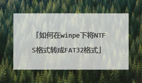 如何在winpe下将NTFS格式转成FAT32格式