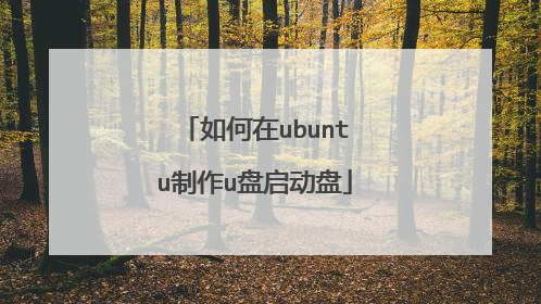 如何在ubuntu制作u盘启动盘