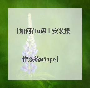 如何在u盘上安装操作系统winpe