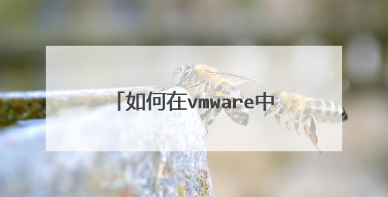 如何在vmware中安装mac OS系统