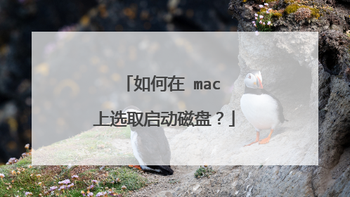 如何在 mac 上选取启动磁盘?