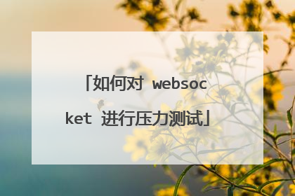 如何对 websocket 进行压力测试