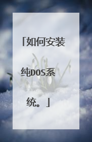如何安装纯DOS系统。