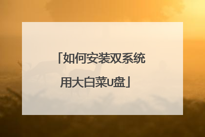 如何安装双系统用大白菜U盘