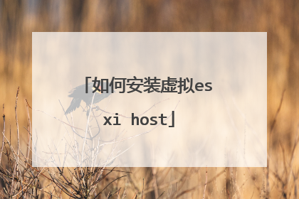 如何安装虚拟esxi host