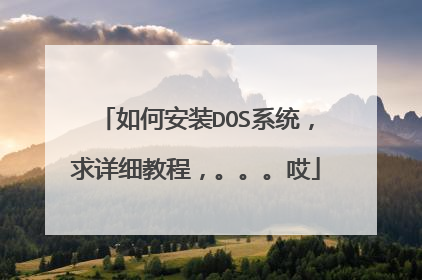 如何安装DOS系统,求详细教程,。。。哎