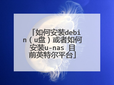 如何安装debin(u盘)或者如何安装u-nas 目前英特尔平台