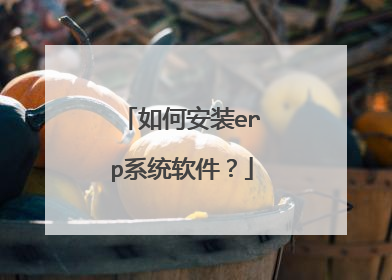 如何安装erp系统软件？