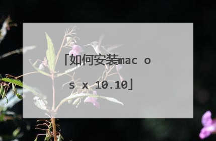 如何安装mac os x 10.10