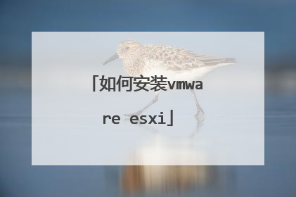 如何安装vmware esxi