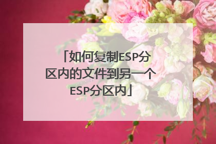如何复制ESP分区内的文件到另一个ESP分区内