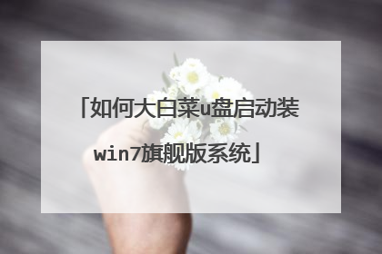 如何大白菜u盘启动装win7旗舰版系统