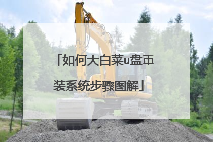 如何大白菜u盘重装系统步骤图解