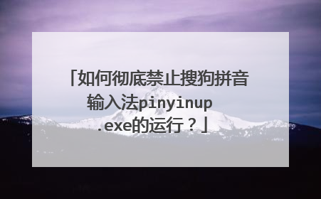 如何彻底禁止搜狗拼音输入法pinyinup.exe的运行?