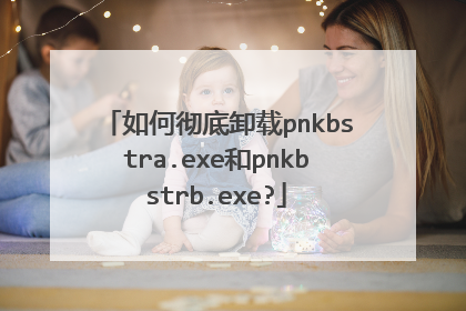 如何彻底卸载pnkbstra.exe和pnkbstrb.exe?