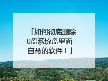 如何彻底删除U盘系统盘里面自带的软件!