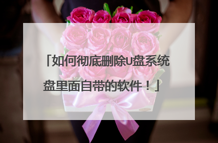 如何彻底删除U盘系统盘里面自带的软件!