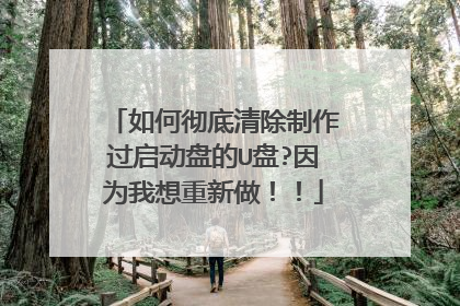 如何彻底清除制作过启动盘的U盘?因为我想重新做!!