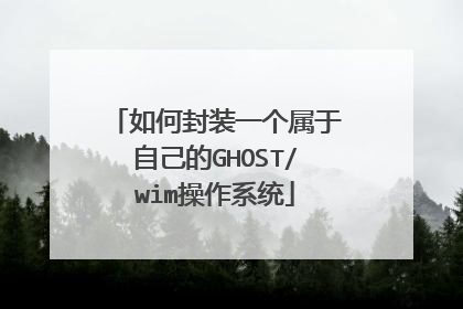 如何封装一个属于自己的GHOST/wim操作系统
