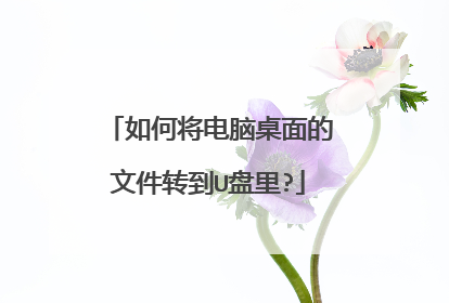 如何将电脑桌面的文件转到U盘里?