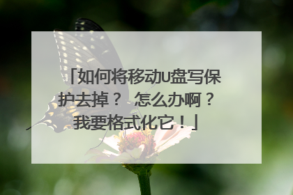 如何将移动U盘写保护去掉? 怎么办啊?我要格式化它!