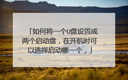 如何将一个U盘设置成两个启动盘,在开机时可以选择启动哪一个,