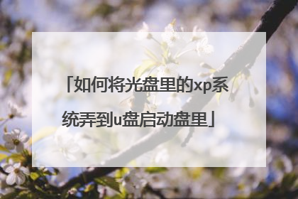 如何将光盘里的xp系统弄到u盘启动盘里