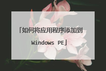 如何将应用程序添加到 Windows PE