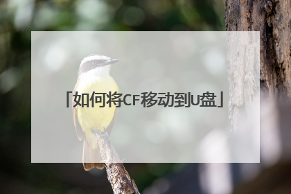 如何将CF移动到U盘
